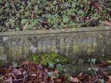 image of grave number 795292